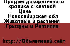 Продам декоративного кролика с клеткой › Цена ­ 3 000 - Новосибирская обл. Животные и растения » Грызуны и Рептилии   
